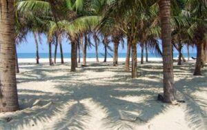 Beaches in Da Nang