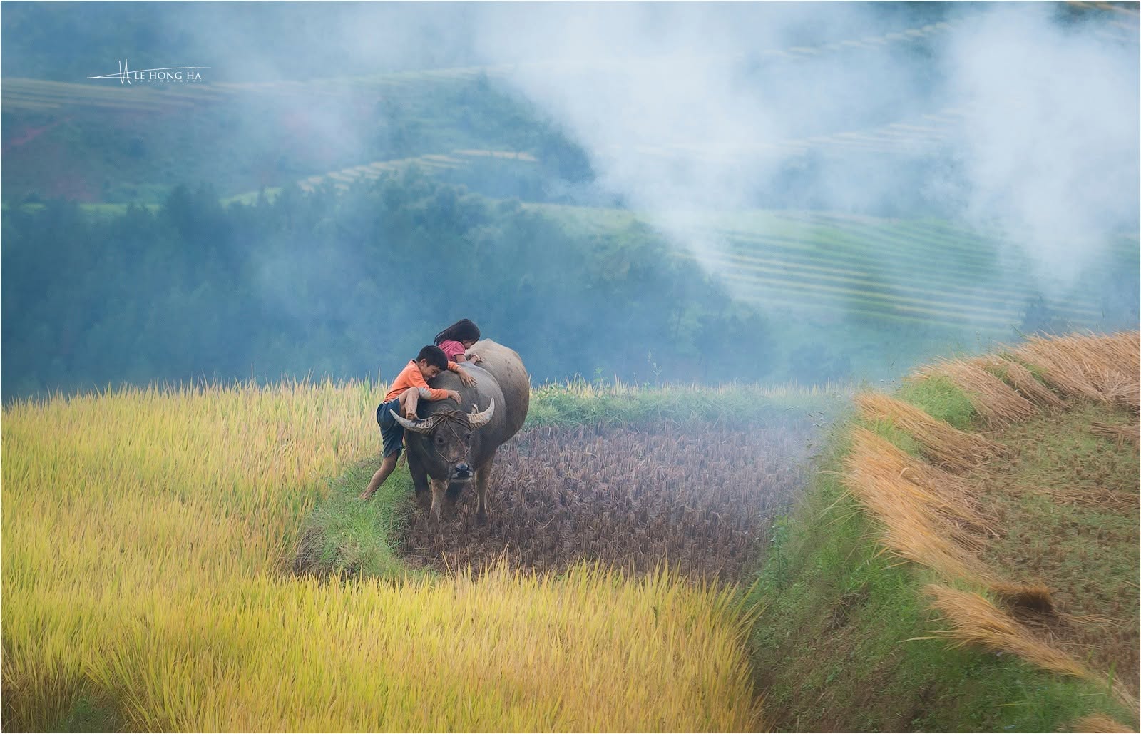 Mu Cang Chai Tour