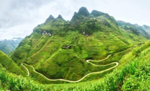 Vietnam travel partner